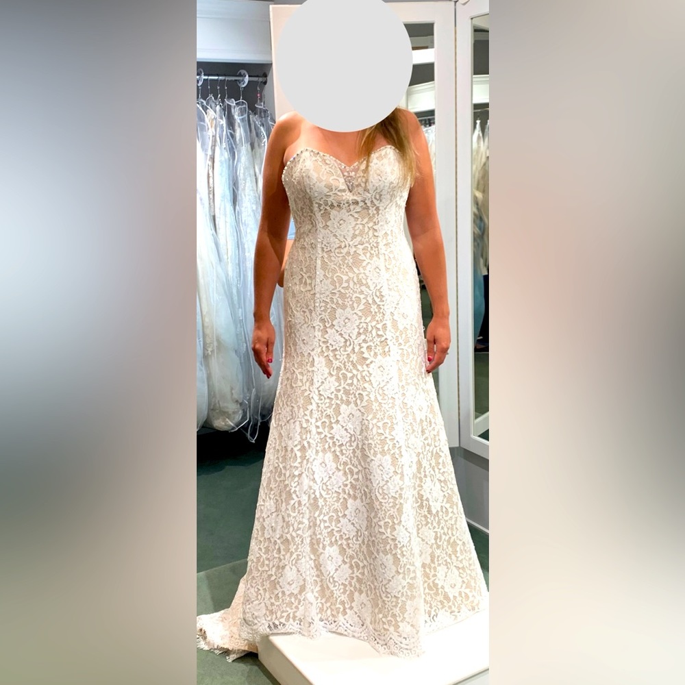 Venus & Bella Lace Wedding Dress